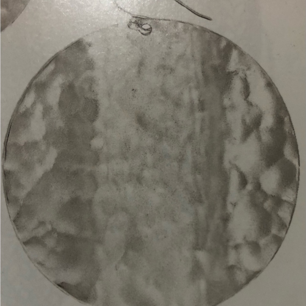 Moonglow Hammered Sterling Silver Earrings